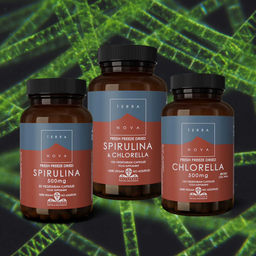 The Secrets Of Spirulina Chlorella Terranova